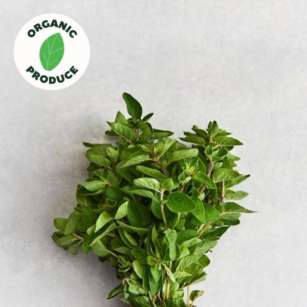 Herbs Oregano Organic 1 bunch