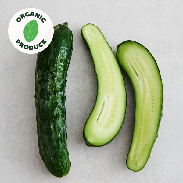 Cucumber Green Organic x1