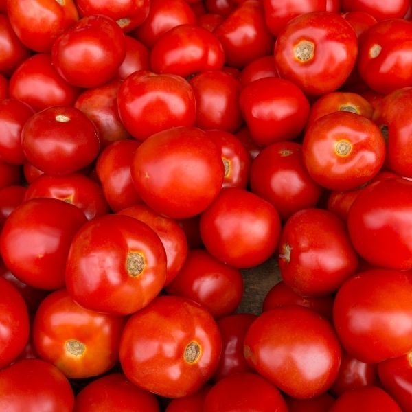 Tomatoes - Sauce 10kg