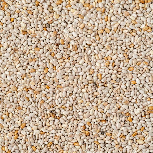 Chia Seeds 500g