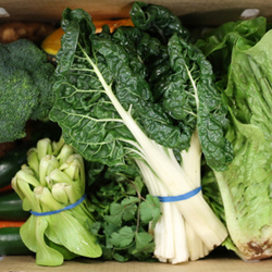 - Good Gut Box (Low FODMAP) Veg Only