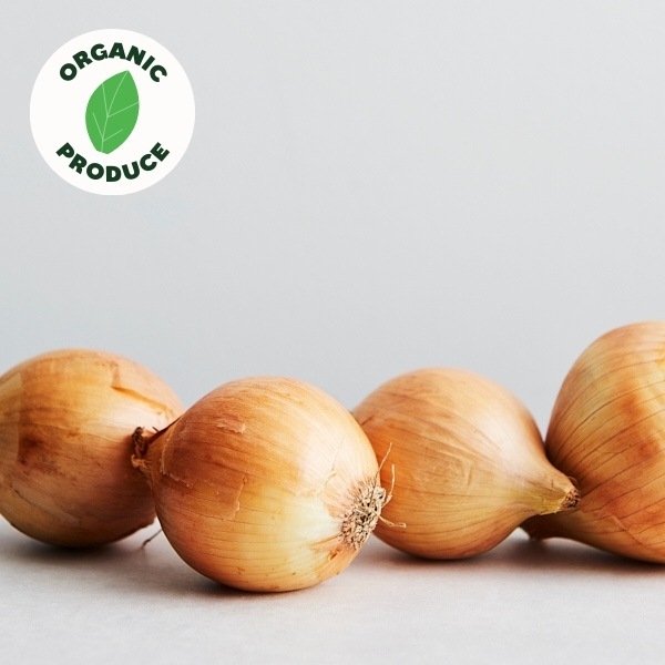 Onions Brown Organic  500g