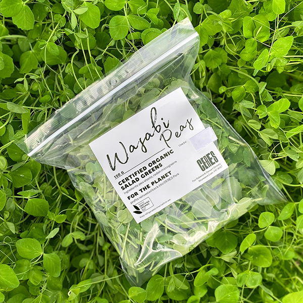 Microgreens Wasabi Peas 120g