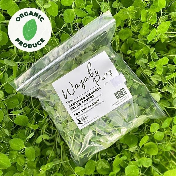 Microgreens Wasabi Peas Organic 120g