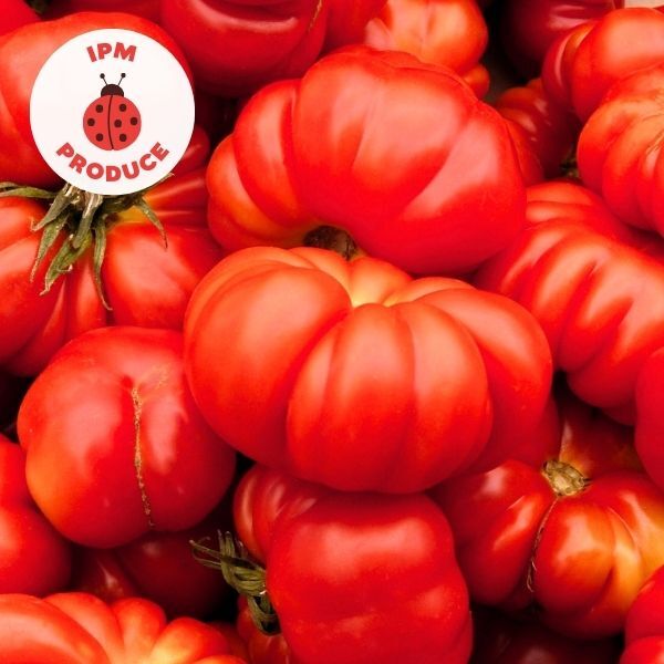 Tomatoes Heritage IPM 500g