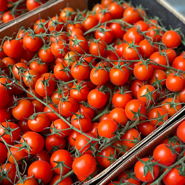 Tomatoes Cherry Truss 250g