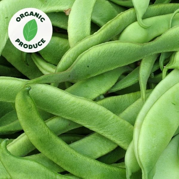 Beans Flat Organic 250g