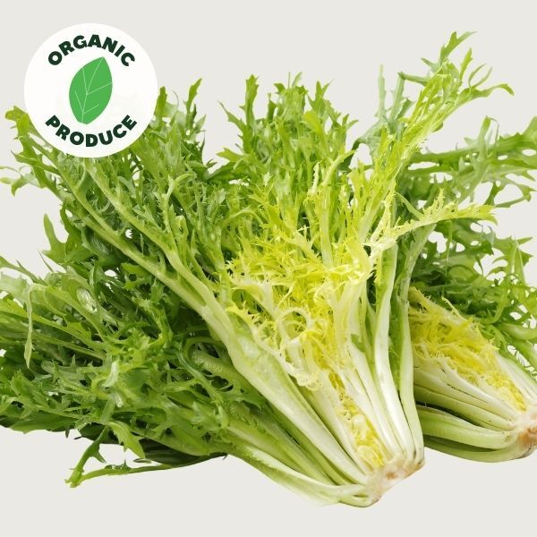 Endive Organic 1 bch