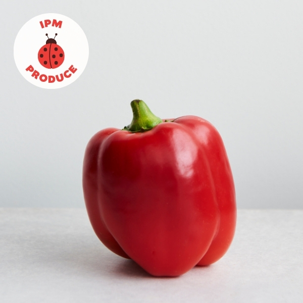 Capsicum Red IPM x2