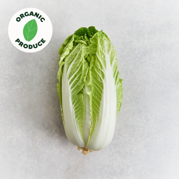 Cabbage Wombok Organic x1