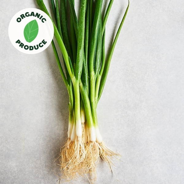 Spring Onions Organic 2 bunches