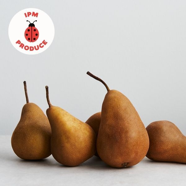 Pears Bosc IPM 500g