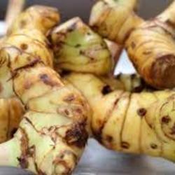 Galanghal Organic 100g