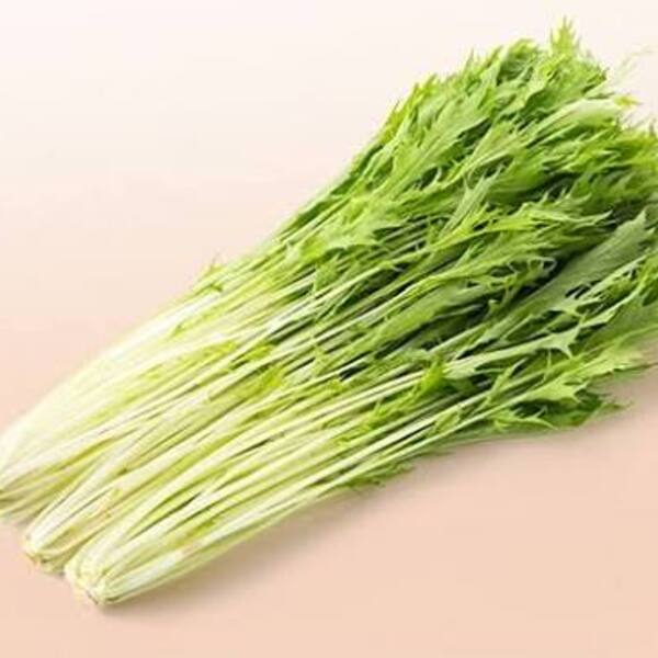 Mustard Green (Mizuna) Organic 1 bunch