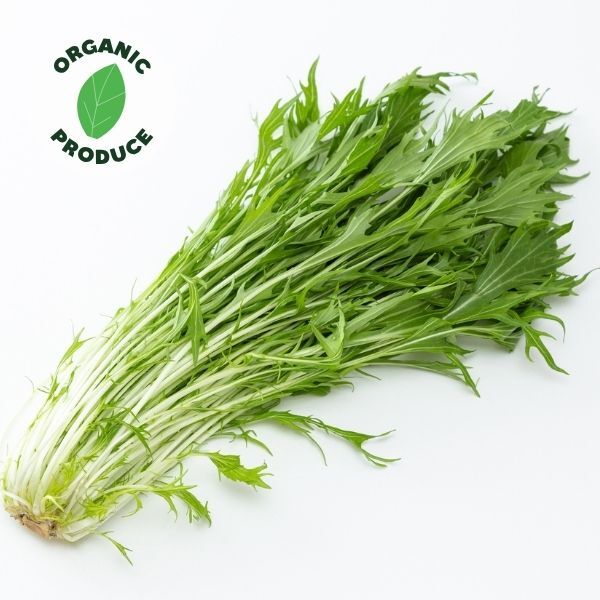 Mustard Green (Mizuna) Organic 1 bunch