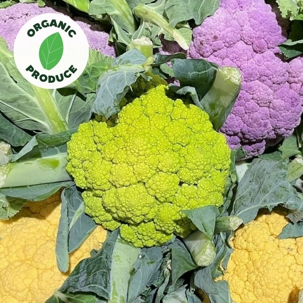 Cauliflower Organic mixed colours x1