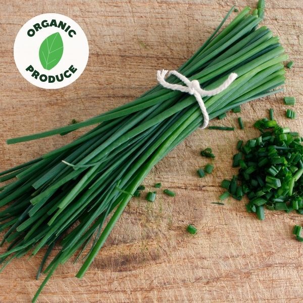 Herbs Chives Organic 1 bunch