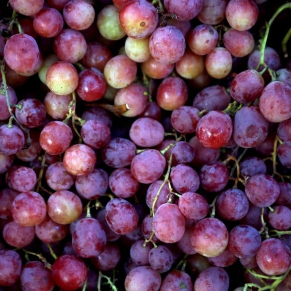 Grapes Red Globe 500g