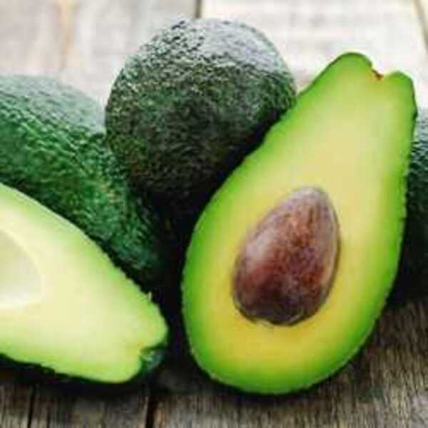 Avocados Sharwil x2