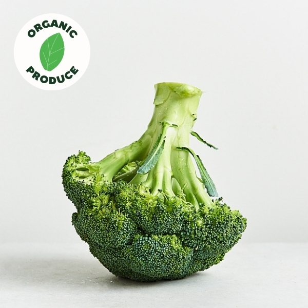 Broccoli Organic  500g