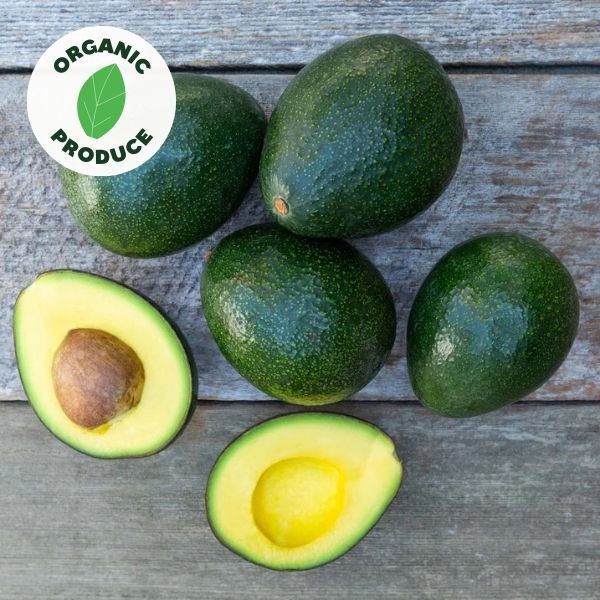 Avocados Reed Organic x1 medium