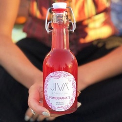 Jiva Organic Kombucha Pomegranate 12x250ml VALUE BULK BUY