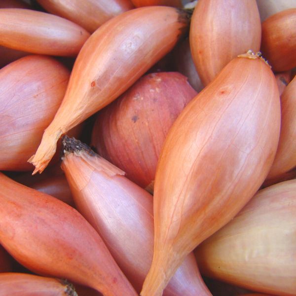 Onions Shallots Banana 200g