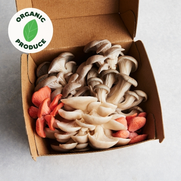 Mushrooms Oyster Organic 150g