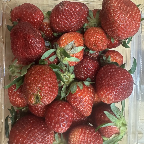 Strawberries Organic 500g Punnet SECONDS
