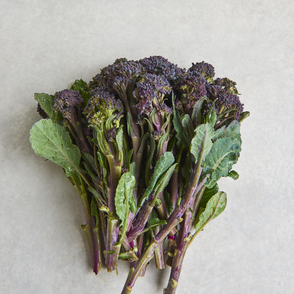 Broccolini Purple 2 bunches
