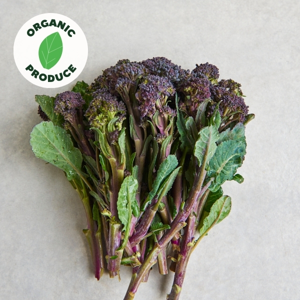 Broccolini Purple Organic 2 bunches