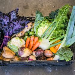 - Veg Only Box