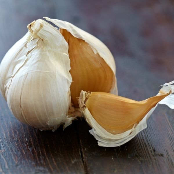 Garlic Russian 100g
