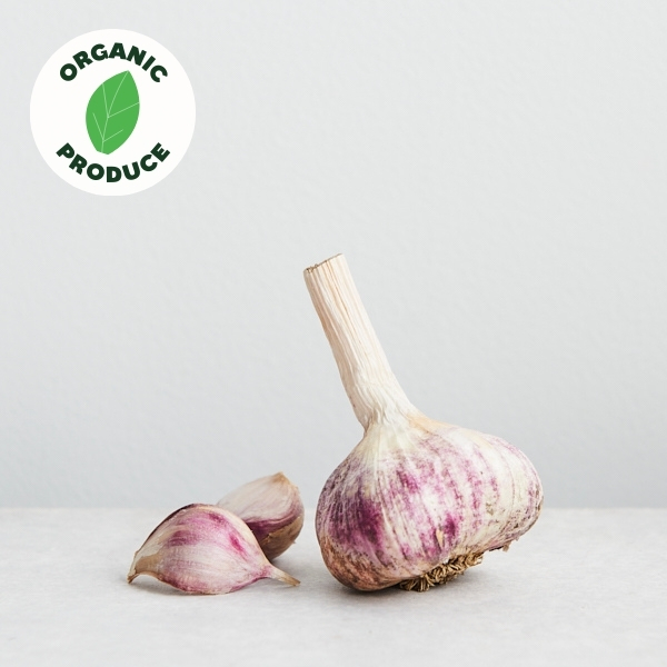 Garlic Purple Organic 100g