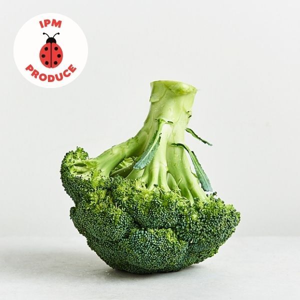 Broccoli IPM 500g