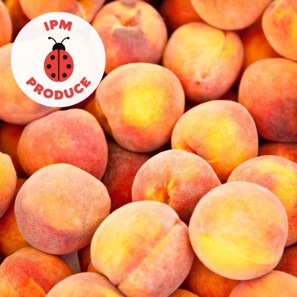 Peaches Yellow IPM 500g