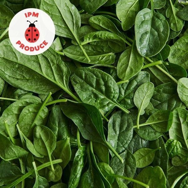 Spinach Leaves IPM 150g