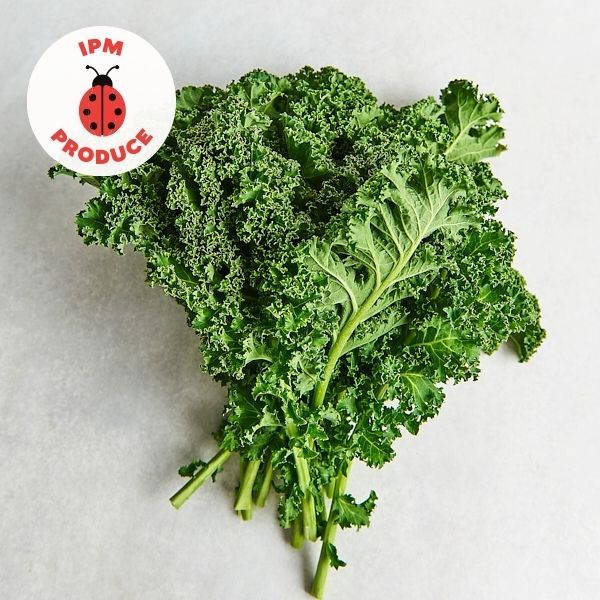 Kale Green IPM 1 bunch