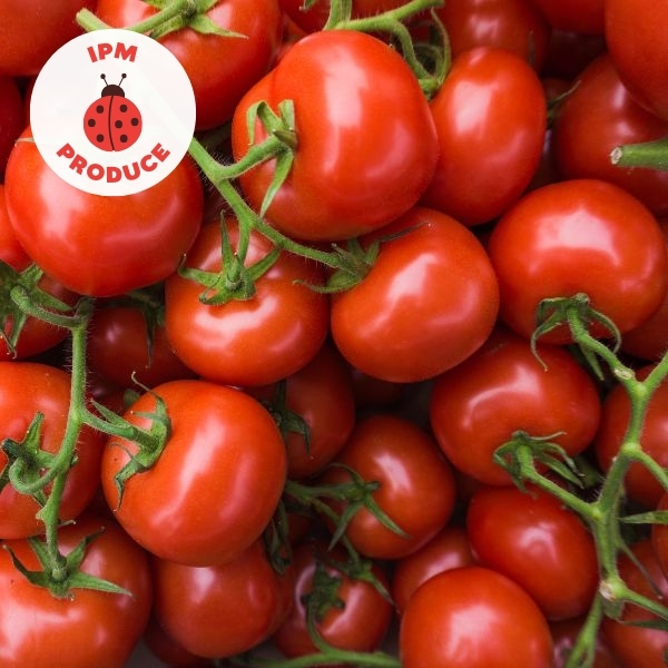 Tomatoes Truss IPM  500g