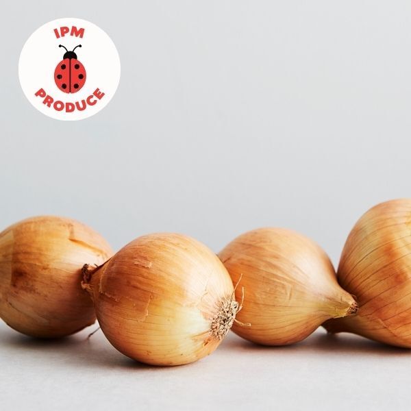 Onions Brown IPM  500g