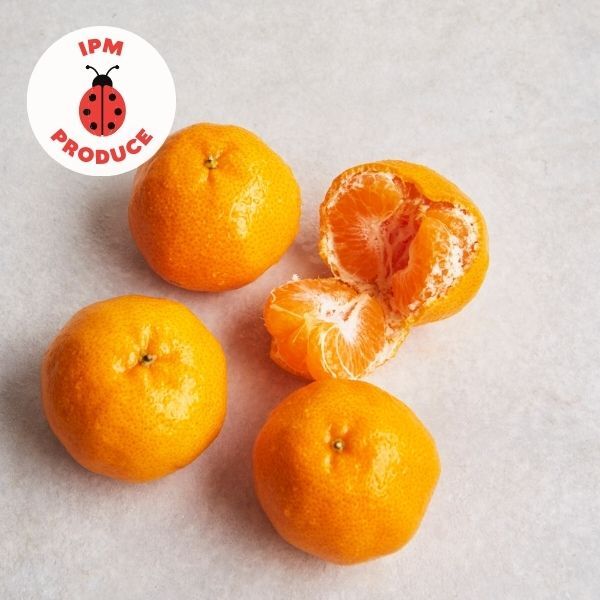 Mandarins IPM  500g