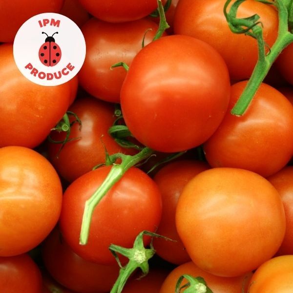 Tomatoes Truss IPM 1kg
