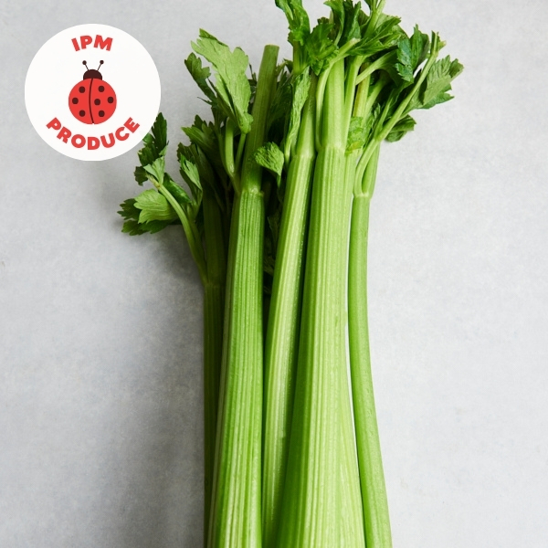 Celery IPM Box (8 bunches)