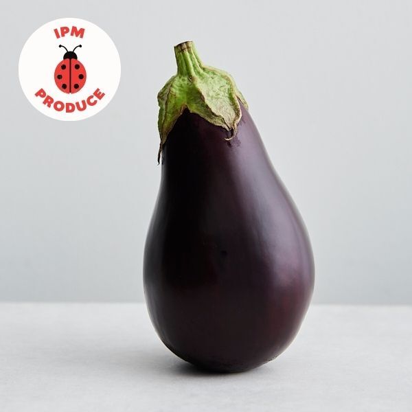 Eggplant IPM x1
