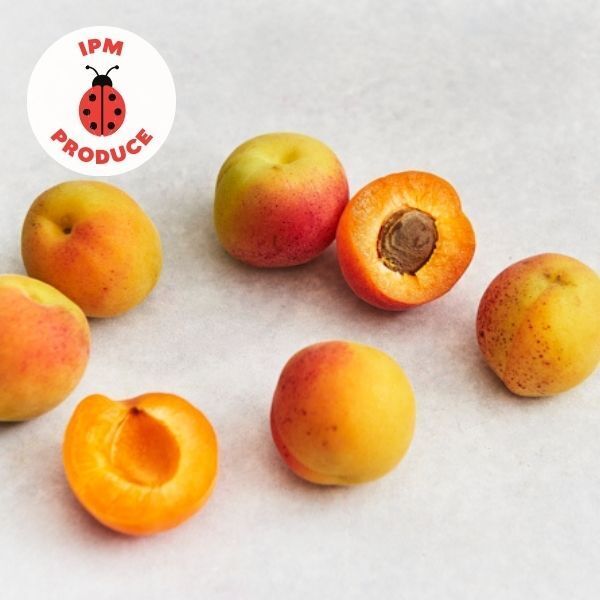 Apricots IPM 300g