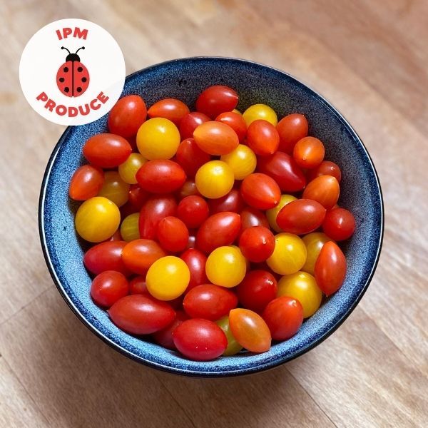 Tomatoes Tiny Toms IPM 350g punnet x1