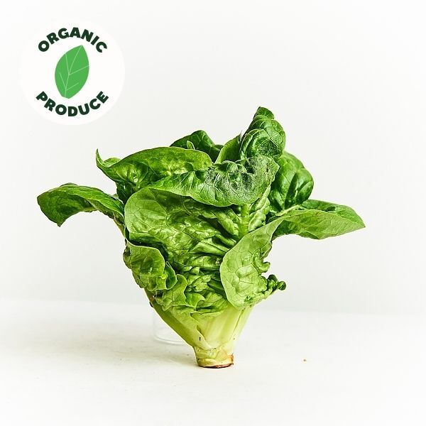 Lettuce Cos Baby Organic x1