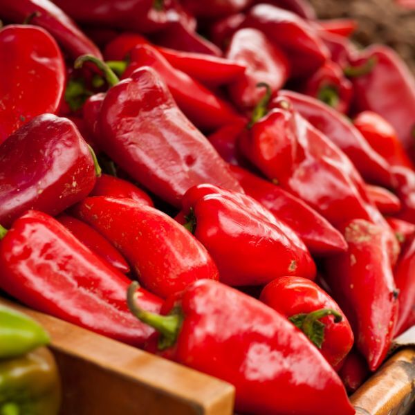 Capsicum Red Bullhorn Organic 300g