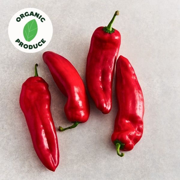 Capsicum Red Bullhorn Organic 250g