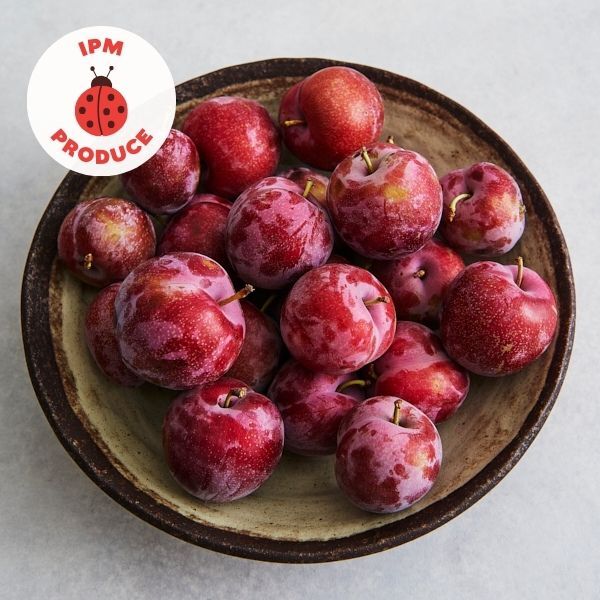 Plums IPM 500g